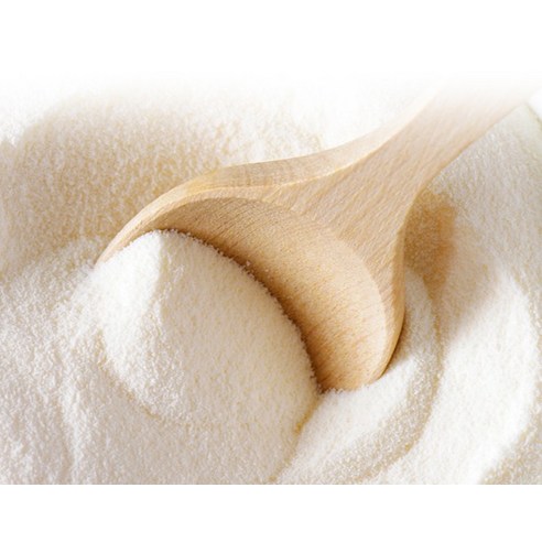 파미데이즈 강아지 고양이 파미분유 이미지 4