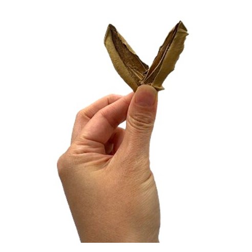 햇살팜 국산 볶은 작두콩 200g, 1개 이미지 3