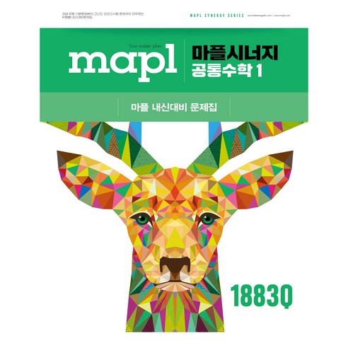 2025 마플 시너지 공통수학1: 내신대비문제집, 수학, 고등 1학년