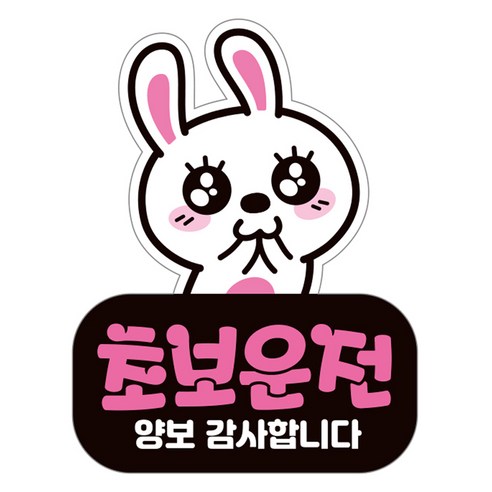 제제데코 자동차 탈부착 자석 고휘도 반사 초보운전 스티커 시트지 LC00... 실사용 후기 | 효과 있을까? 썸네일