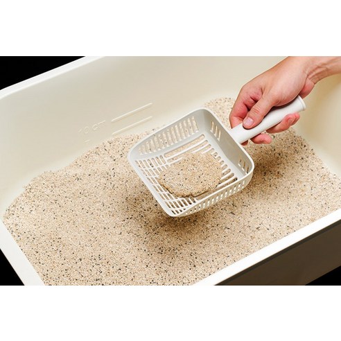 블루펫 응고형 벤토나이트 고양이 모래 후기 분석 - 입자 확대 1