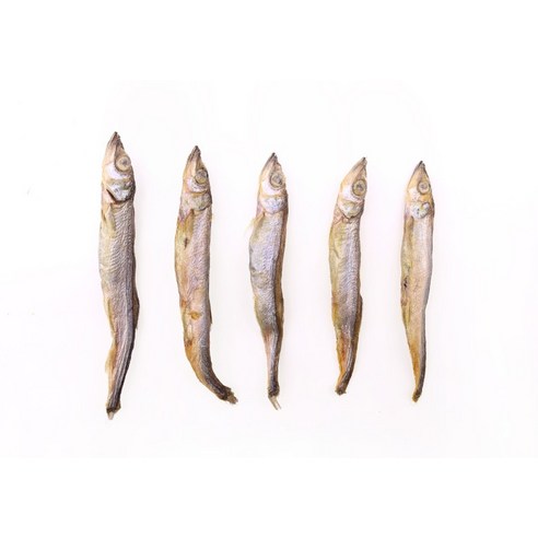 조이펫 반려동물 동결건조 간식 솔직 후기 | 실제 사용자 리뷰 총정리 - 상품 이미지 4