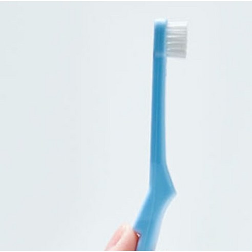 쿤달 반려동물 칫솔 + 치약 60g 세트 사과향 솔직 후기 | 실제 사용자 리뷰 총정리 - 상품 이미지 3