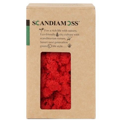 스칸디아모스 공기정화식물 이끼 레드 150g, 1개