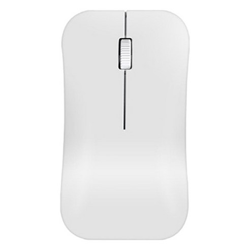 덴코 C타입 리시버 저소음 무선 마우스, 화이트, FG-WM5000