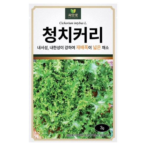 다농 씨앗애 청치커리 씨앗 3g, 1개