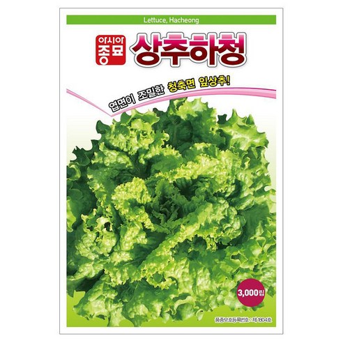 아시아종묘 상추하청 씨앗 3000p, 1개