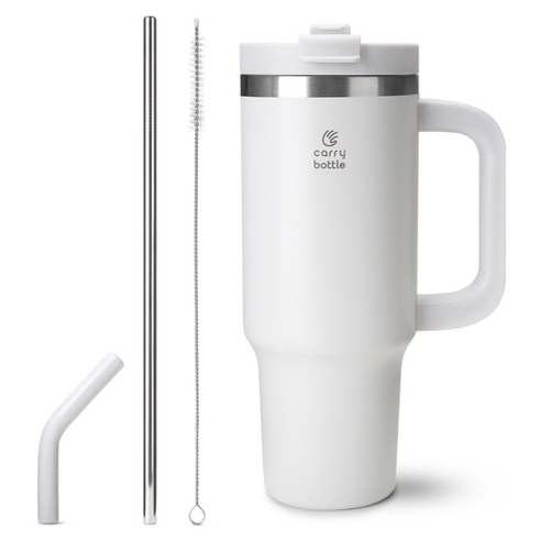 캐리보틀 써밋 텀블러, 코코넛 그레이, 900ml, 1개