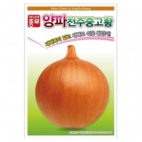 아시아종묘 천주중고황 양파 씨앗 2.5g, 1개