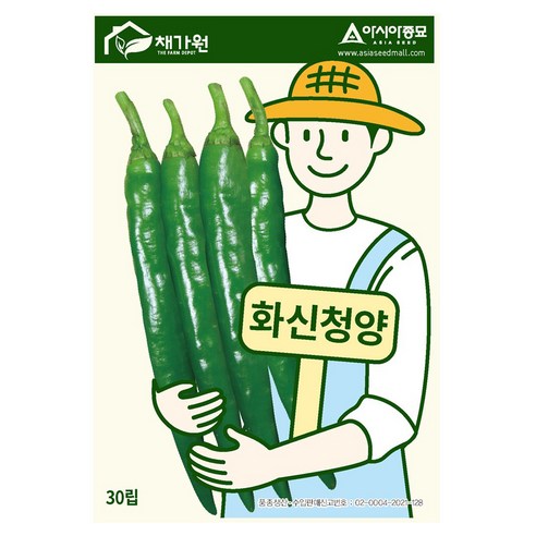아시아종묘 채가원 화신청양 고추 씨앗 30p, 1개
