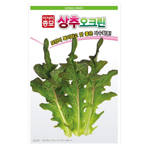 아시아종묘 오크린 상추 씨앗 1500립, 1개