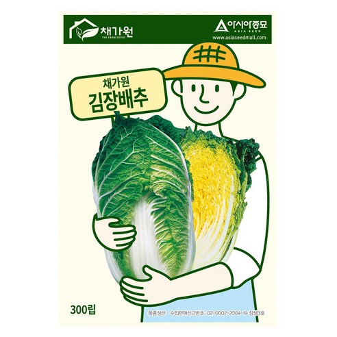 아시아종묘 씨앗 김장배추 300립, 1개
