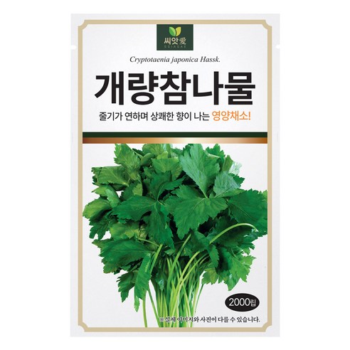 다농 개량참나물 씨앗 2000립, 1개