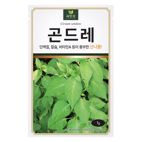 다농 곤드레 씨앗 1g, 1개