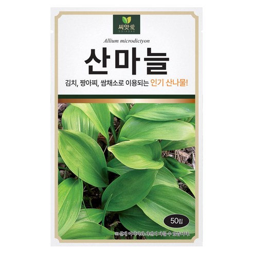 다농 산마늘 씨앗 50립, 1개