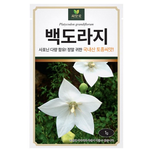 다농 백도라지 씨앗 1g, 1개