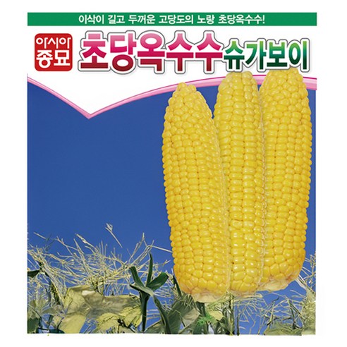 아시아종묘 초당옥수수 슈가보이 씨앗 100립, 1개