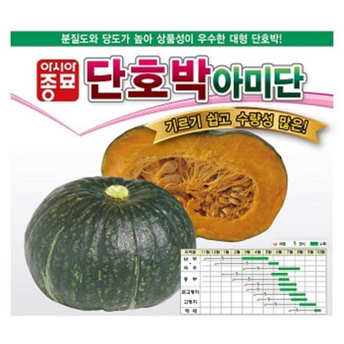 아시아종묘 단호박 아미단 씨앗 40p, 1개