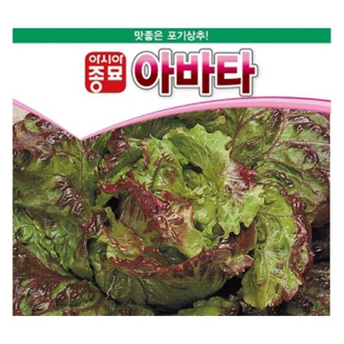 아시아종묘 아바타 상추 씨앗 1000립, 1개