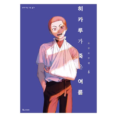 히카루가 죽은 여름 6(특별판), 모쿠모쿠렌, 디앤씨미디어