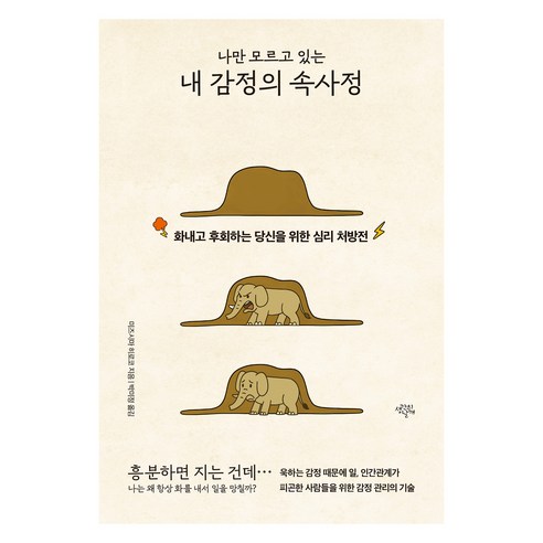 나만 모르고 있는 내 감정의 속사정:화내고 후회하는 당신을 위한 심리 처방전, 미즈시마 히로코, 생각의날개