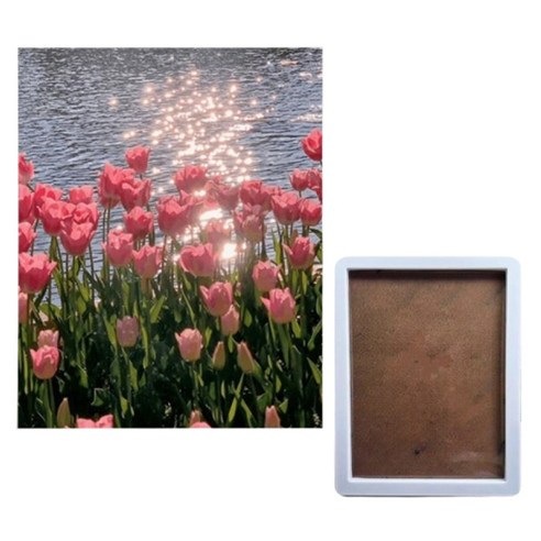 포즈샤인 3D DIY 플라워 보석십자수 캔버스형 + 내부프레임 30 x 40 cm 세트, FLOWER2, 1세트