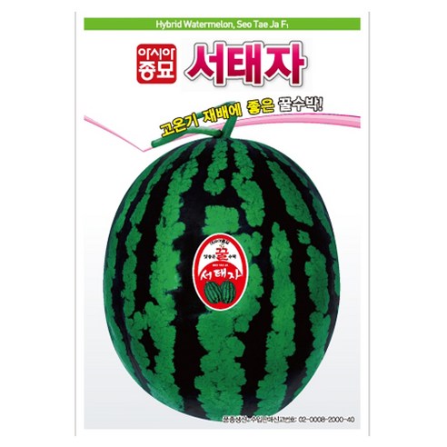 아시아종묘 서태자 수박 씨앗 30p, 1개