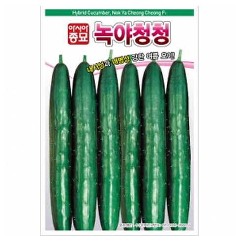 아시아종묘 녹야청청 오이 씨앗 40p, 1개
