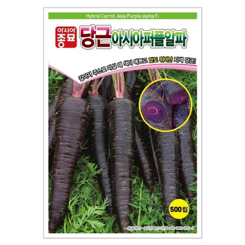 아시아종묘 당근 아시아 퍼플 알파 씨앗 500립, 1개