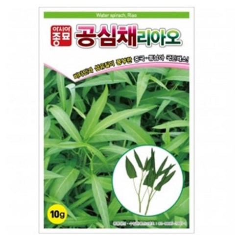 아시아종묘 공심채리아오 씨앗 10g, 1개
