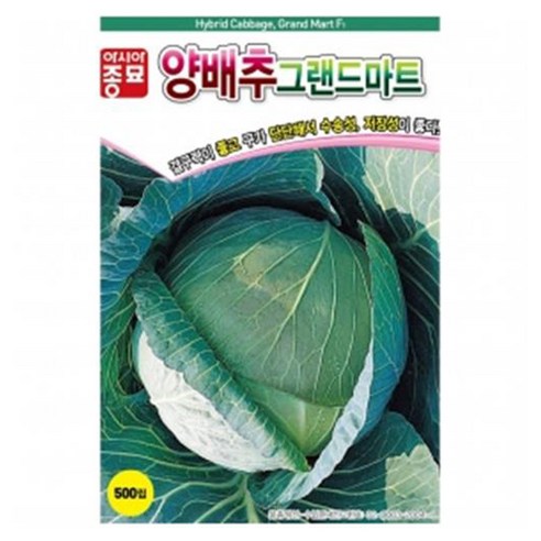 아시아종묘 양배추 그랜드마트 씨앗 500립, 1개