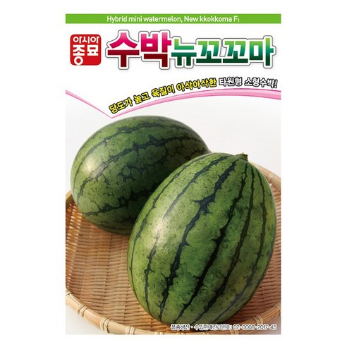 아시아종묘 수박 뉴꼬꼬마 씨앗 10립, 1개