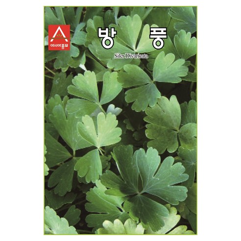 아시아종묘 방풍 씨앗 2g, 1개