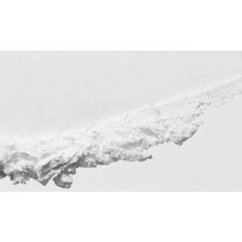 삐아 오 파우더 팩트 9g 이미지 3