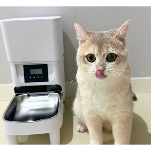 디클펫 반려동물 자동급식기 AT-310 이미지 3