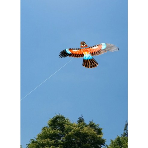 전통 낚시대얼레 3p + 새모양 전통연 3p 랜덤발송 세트 이미지 4