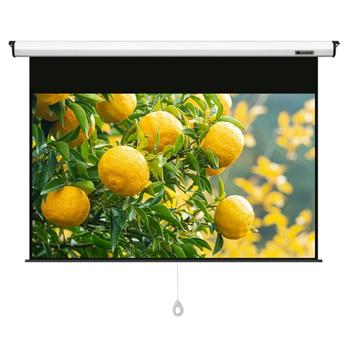윤씨네 16:9 B-SH 반자동 와이드버퍼 스크린 203cm, B-SH080