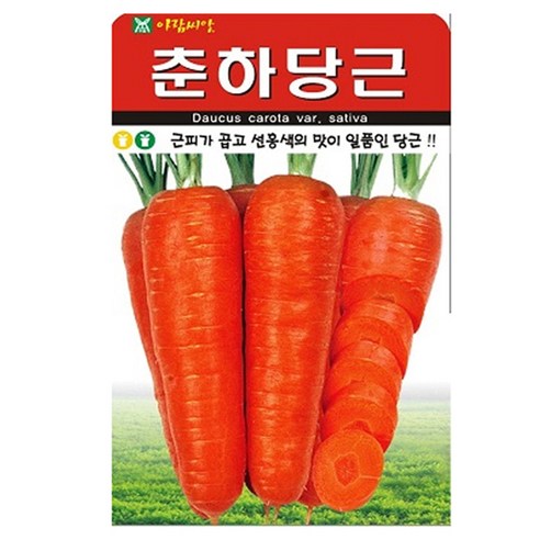 아람종묘 춘하당근 씨앗, 1개