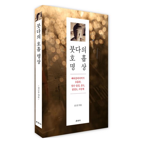 붓다의 호흡 명상:빠띠삼비다막가 호흡관 정신·물질 중도 팔정도 사성제, 김근중, 운주사