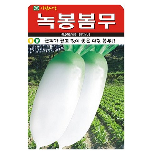 아람종묘 녹봉봄무 씨앗, 1개