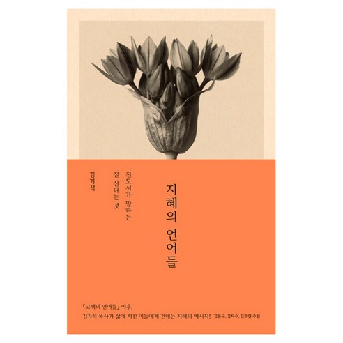 지혜의 언어들:전도서가 말하는 잘 산다는 것, 복있는사람, 김기석