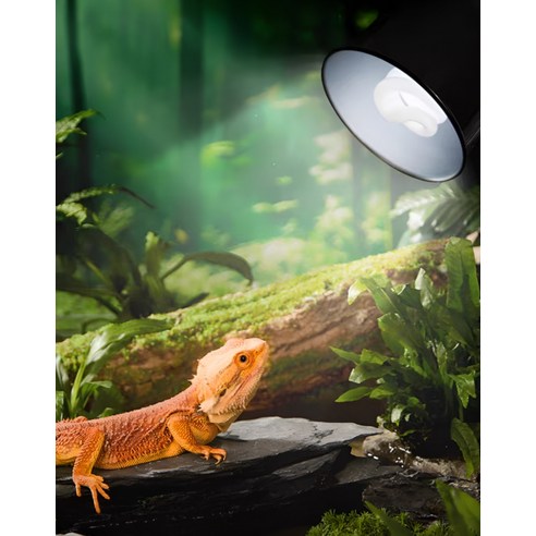 페이토 익스트림썬 UVB 램프로 당신의 파충류에게 건강과 행복을 선물하세요.