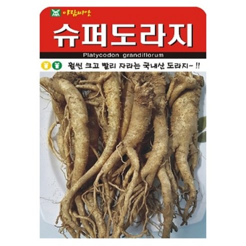 아람종묘 슈퍼 도라지 씨앗 1000p, 1개