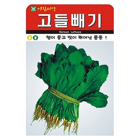 아람종묘 고들빼기 소포장 씨앗 3000p, 1개