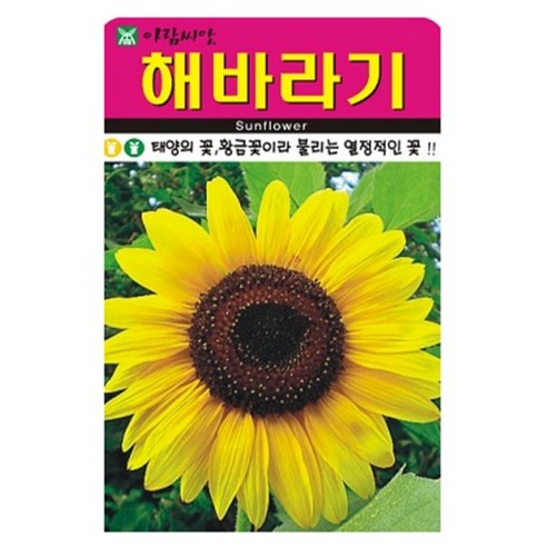 아람종묘 해바라기 꽃 씨앗 50p, 1개