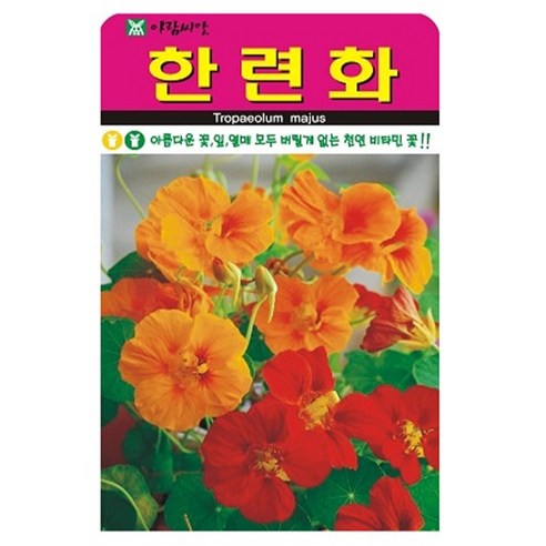 아람종묘 한련화 꽃 씨앗 20p