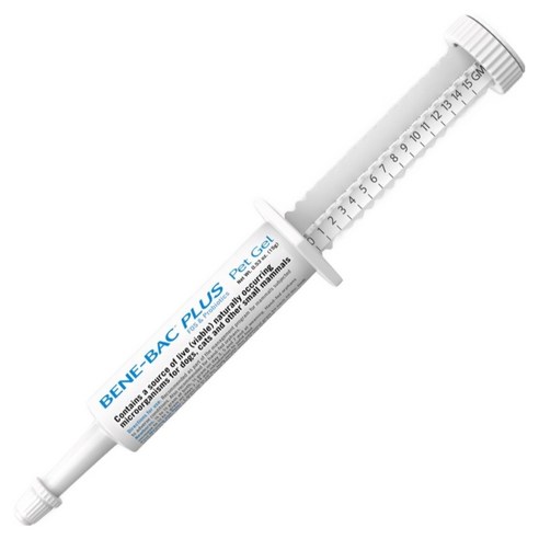 펫에그 반려동물 유산균 비니백 플러스 주사기타입 젤 15g, 1개, 장건강/유산균, 15회분