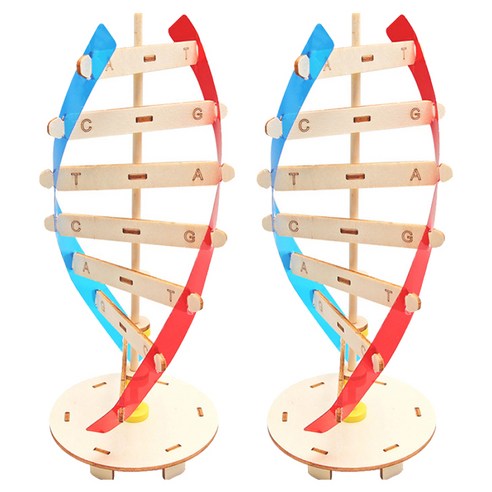 리브온 창의력 STEAM 목재 만들기 DNA 모델 105 x 265 mm, 혼합색상, 2개