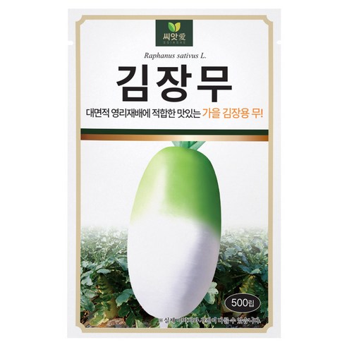 다농 김장무 씨앗 500p, 1개