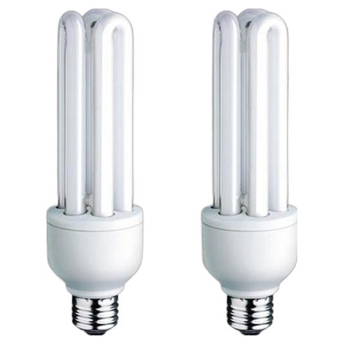 블루밍 삼파장 램프 25W EL25EX-D, 주광색, 2개